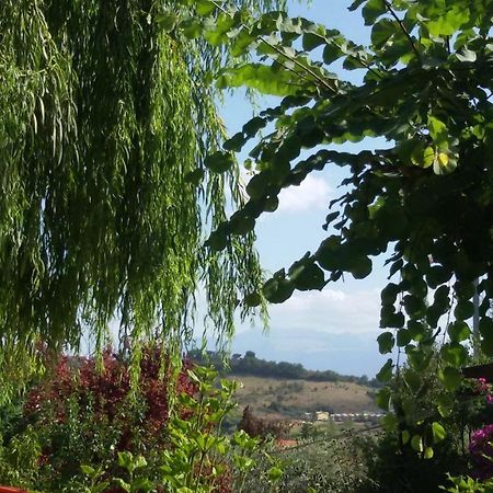 Tre Cammelli In Collina Βίλα Montesilvano Marina Εξωτερικό φωτογραφία